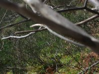 nte Fontane-201011128 012